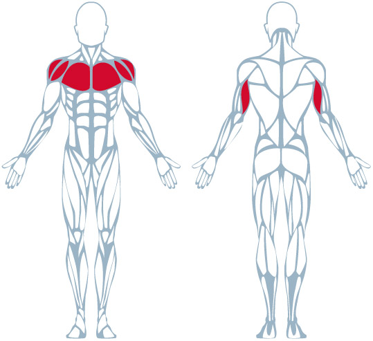 Keiser-Air-250-Triceps-grupo-musculatura